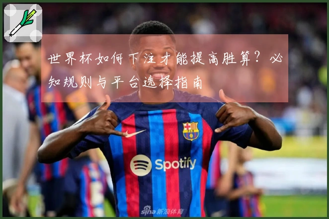 世界杯如何下注才能提高胜算？必知规则与平台选择指南
